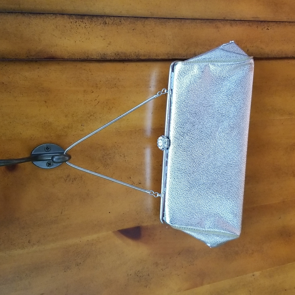 Silver Purse